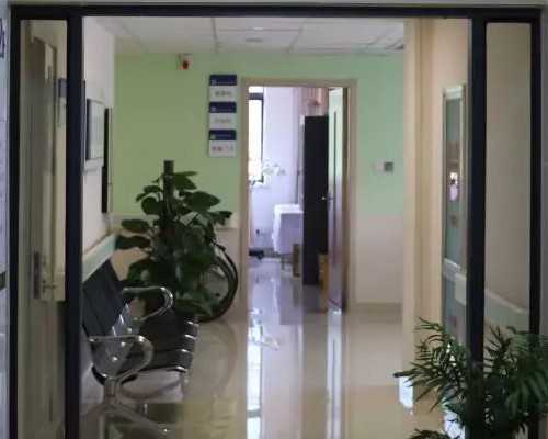 抖音网红婆媳情深，演绎和谐家庭新篇章