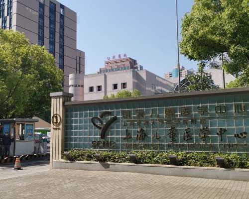 胚胎停育的诊断标准与卵黄囊的预后评估：上海试管助孕的深度解析