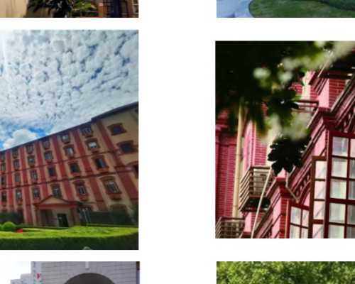 上海代生男孩费用,上海市试管婴儿胚胎移植试管婴儿第一代、二代、三代、各