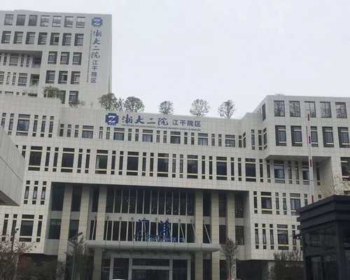 上海代怀小孩哪里找,上海试管助孕的费用与成功率解析