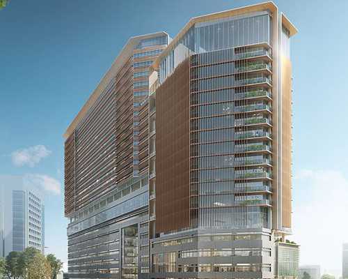 上海助孕优选：精选医院及成功率解析，助您好孕连连