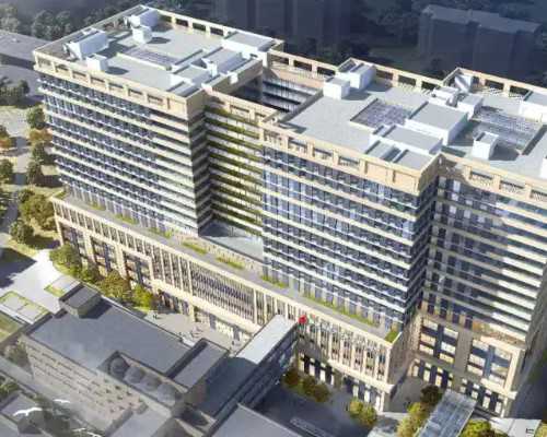 探秘生命的孕育：从受精到胚胎培养的全过程