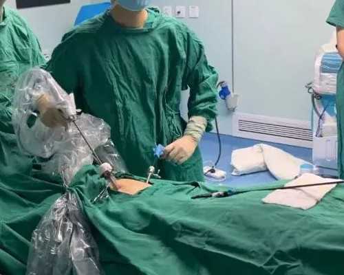 上海高龄求子：揭秘私人试管婴儿与柬埔寨助孕费用