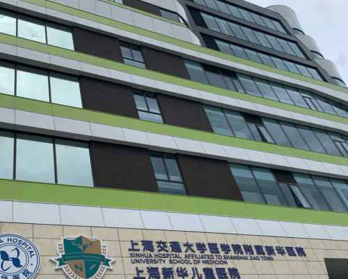 鲜胚移植与冻胚移植的区分及成功率考量