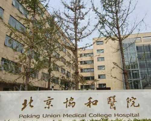 揭秘上海试管助孕：警惕“试管无忧”骗局，了解正规助孕途径