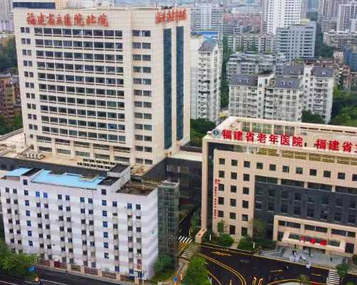 上海试管婴儿助孕：熊出没动画中的品格培养与价值观启迪