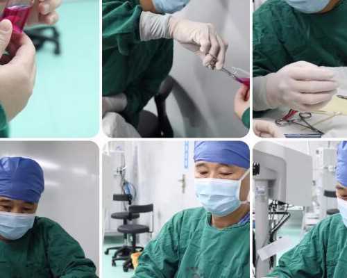 揭秘上海三代试管供卵与代生助孕成本:费用更高选择解析