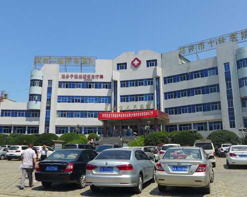 探秘上海辅助生殖:试管医院榜单与2026三代供卵生男孩费用全攻略