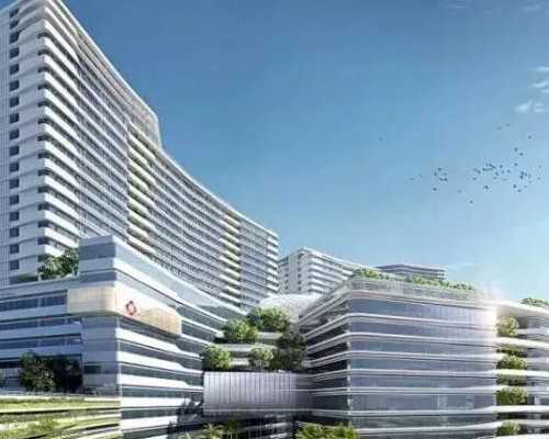 上海医学中心第一代试管冻胚移植成功率分析