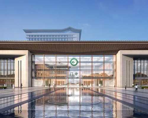 权威试管婴儿技术指南：成功率与费用解析