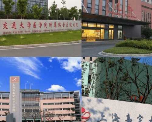 上海一妇婴供卵试管婴儿亲历分享：助您好孕，揭秘成功秘诀