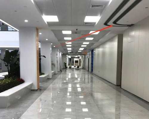 上海未婚生育：无结婚证能否进行试管助孕及新生儿落户问题探讨