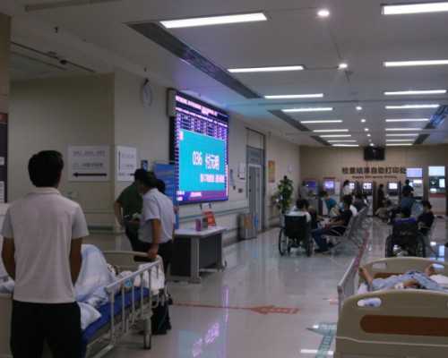 探秘上海代怀与供卵：揭秘天津三代供卵代孕双胎限制与上海助孕全攻略