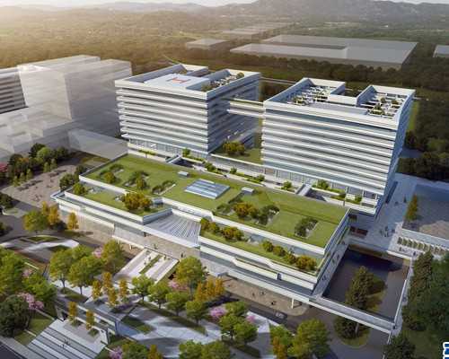 上海瑞金医院供卵试管婴儿申请指南与等待时间详解