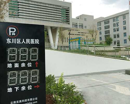 揭秘：抽血检测胎儿性别的准确度与多样化方法