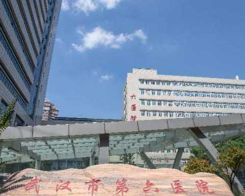 辅助生殖技术费用解析及2026年精选助孕机构推荐