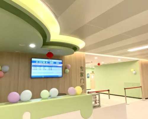 上海试管婴儿医院探析：优选与前景