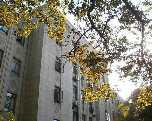 解析试管婴儿移植后胎停与不着床的原因，提供科学助孕指导