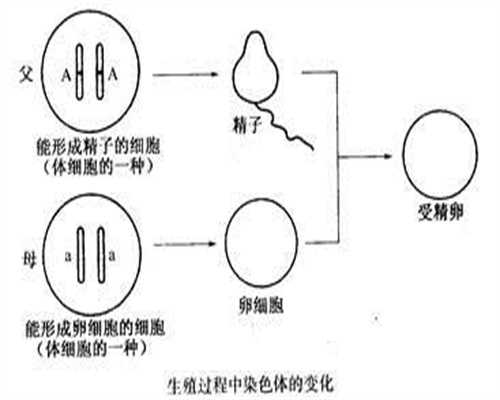上海代孕中心哪间权威_上海现在代孕要多少钱_宫颈活检和tct的区别