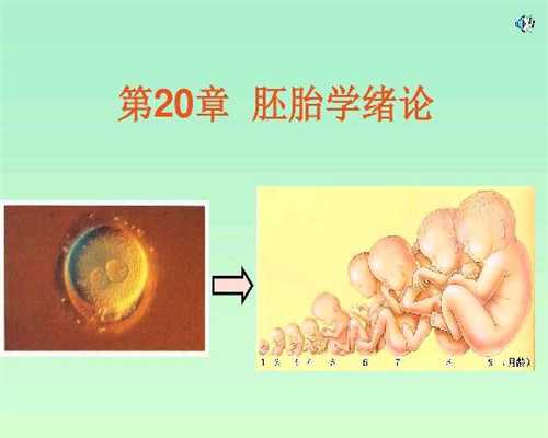上海代孕靠谱嘛_上海现在正好有人找代孕的_启辰助孕官网-[胚胎质量]囊胚不会