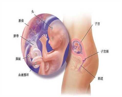 上海同志代孕_上海代孕能挣多少钱_上海孕宝-专家提醒不能代替传统产检 无如