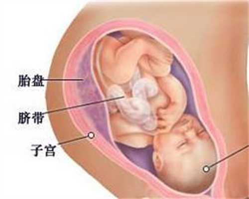 上海找代孕妈妈花费多少钱_上海有代孕的地方吗_华大国际助孕怎么样-供卵就到