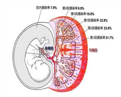 上海供卵试管哪家好_上海试管供卵_睾丸囊肿手术费用多少