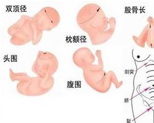 上海哪家可以做供卵_国内正规代孕