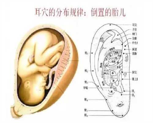 上海试管婴儿中介机构_上海助孕费用