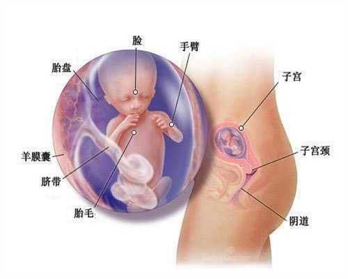 上海代孕包男孩_上海试管医院在线免费咨询