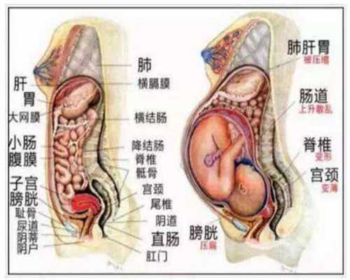 上海公立医院供卵要等多久_国内外的助孕机构有哪些