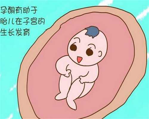 上海供卵试管_上海服务好的助孕
