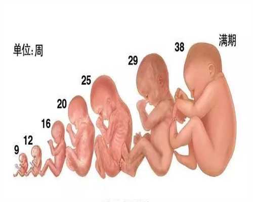 上海高龄供卵试管也难成功_供卵试管如何防排异_试管婴儿移植后出血并非都危