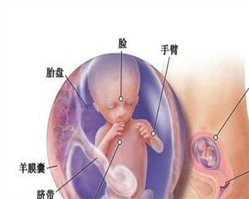 上海代孕哪里放心_上海找代孕价钱_泰东方靠谱吗-试管婴儿生男孩几率有多大？