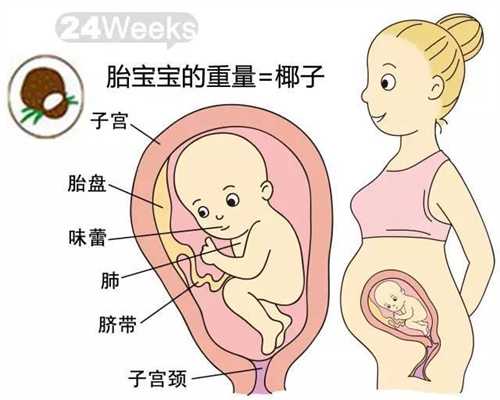 金贝供卵官网_上海供卵群_哪里找代孕医院_代孕要多少钱呢