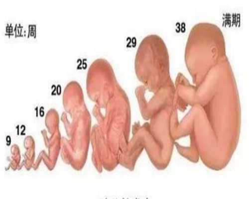 上海哪家代孕成功率高_上海代孕对身体好吗_美中宜和生殖-怎么找个人代孕群