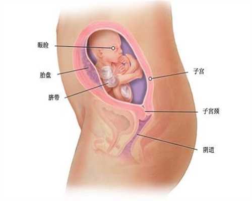 怎么代生_上海70后生二胎供卵成功的_泰国试管婴儿BNH医院费用花销明细