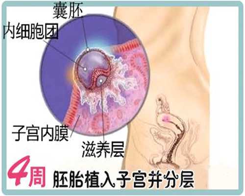上海代孕胚胎移植_上海借腹怀胎_一代试管时间-检查怀孕挂哪个科