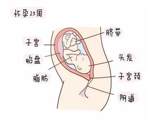上海供卵试管中心排行_上海什么是供卵_羊水少，跟喝水有关系吗？很多孕妈妈