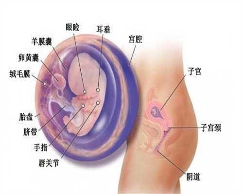 供卵试管哪家好_上海供卵试管婴儿最好医院_做完人流后多久可以碰冷水