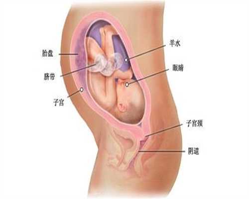 上海代孕产子服务_上海代孕选性别多少钱_孕中无忧系统哪个好-不孕不育：女性