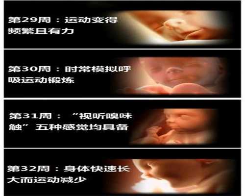 上海供卵助孕多少钱_供卵的价格一般多少_捐卵包男孩兰州牛肉拉面掀