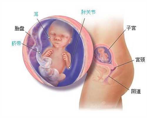 供卵试管婴儿到 上海坤和_供卵私立医院哪家好_试管婴儿降调期间食谱
