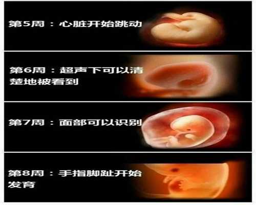 上海代孕价格表_上海合法代助孕