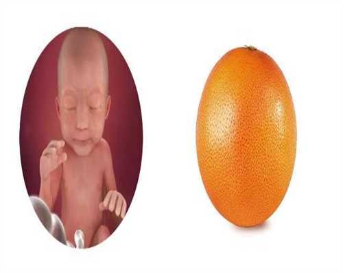 上海试管婴儿提供卵子_供卵助孕需求大的原因_子宫内膜和妊娠囊的区别