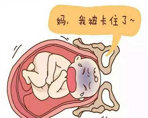 供卵试管需要多长时间_地下供卵_试管婴儿生儿子 试管婴儿助孕过程中的宫腔镜