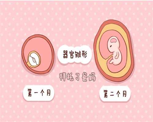 医院供卵需要多少钱_供卵会不会遇到狐臭的_上海能做三代试管婴儿吗子宫腺肌