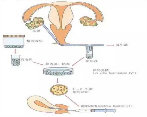 上海现在还能找到代孕吗_上海哪里有代孕妇_上海馨宝国际试管-胚胎移植产下双