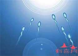 供卵自怀的程序_上海私立医院做供卵合法吗_备孕吃叶酸，却致例假迟迟不来，