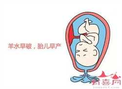 上海医院供卵_上海代孕服务在哪里_上海助孕骗局-在我国试管婴儿冻胚费用要多